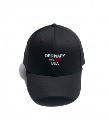 DEFAULT ORDINARY USA CAP(Black)