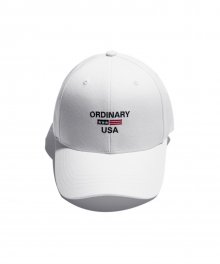 DEFAULT ORDINARY USA CAP(White)