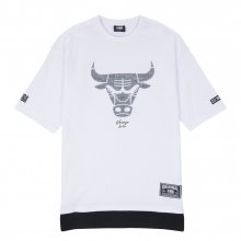 CHI BULLS 고주파 레N182TS060P