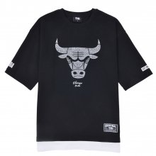 CHI BULLS 고주파 레N182TS060P