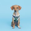 플로트 강아지옷 민소매 티셔츠 - 하와이안블랙
