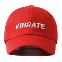 SIGNATURE NAME BALL CAP (red)