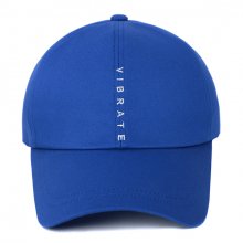 VERTICAL LOGO BALL CAP (BLUE)