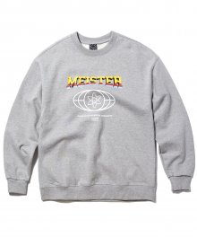USF Solid Meister Sweatshirts Gray