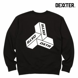 댁스터(DEXXTER) 3TYPE WHITE SWEATSHIRT(BK)