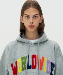 RAINBOW WORLDWIDE HOODIE_GY(21SSTP04)