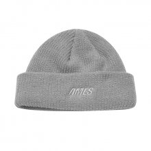 AMES BASIC BEANIE / GR