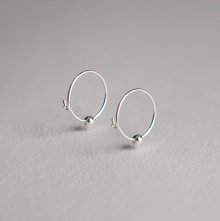 PP 1 Earrings