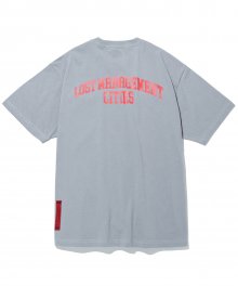 LMC RED LABEL ARCH FN TEE gray