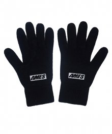 AMES BOX LOGO GLOVES(SMART TOUCH)