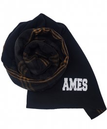 AMES REVERSIBLE CHECK MUFFLER