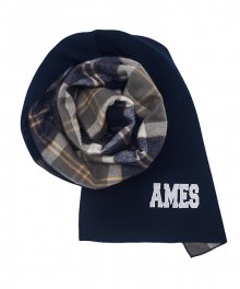 AMES REVERSIBLE CHECK MUFFLER