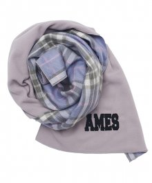 AMES REVERSIBLE CHECK MUFFLER