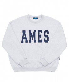 AMES BIG LOGO SWEATSHIRTS_GY