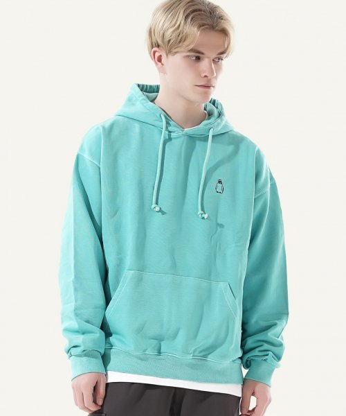 Champion hotsell hoodie mint