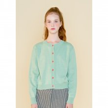 fanfare cardigan (mint)