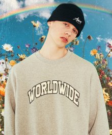 Worldwide colored sweatshirts_GY