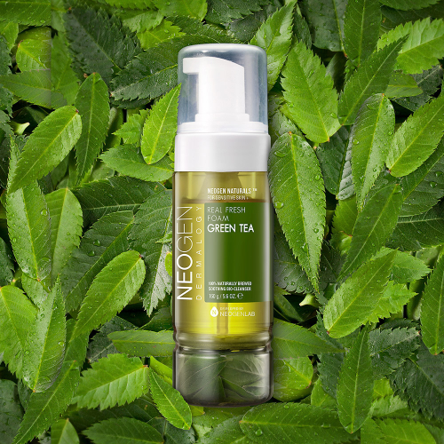 네오젠() 리얼 프레쉬 폼 그린티 160g 상품 이미지