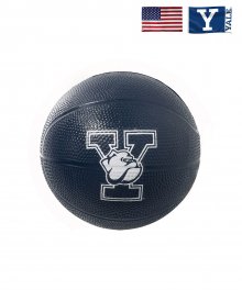 Y BULLDOG SPONGE BASKET BALL