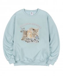 Kitten Boxy Sweatshirt Mint