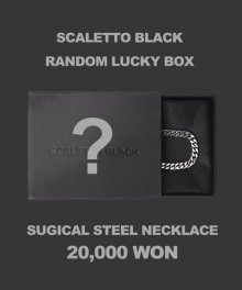 #[랜덤럭키박스] SCB701 Surgical steel necklace