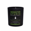 몬스터스튜디오(MONSTER STUDIO) 부띠끄 캔들 - 피톤치드