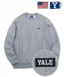 REVERSE WEAVE BOX LOGO CREWNECK GRAY