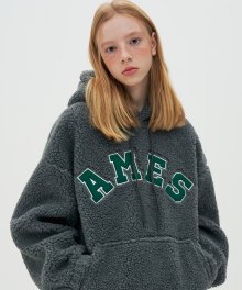 BASIC ARCH LOGO SHEARLING HOODIE_GY