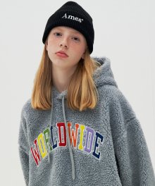 RAINBOW WORLDWIDE SHEARLING HOODIE_GY