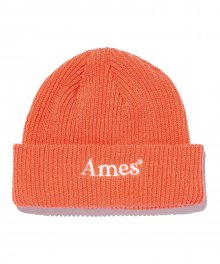 COLORED LOGO BEANIE_CO