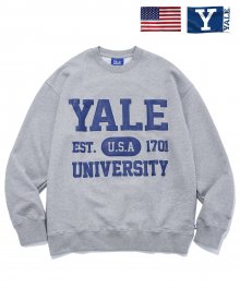 YALE JERSEY CREWNECK GRAY