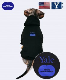 YALE X NICE WEAHTER HANDSOME DAN DOGGY HOODIE BLACK