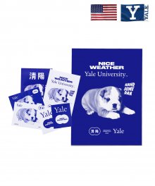 YALE X NICE WEAHTER SPOTLIGHT POSTER