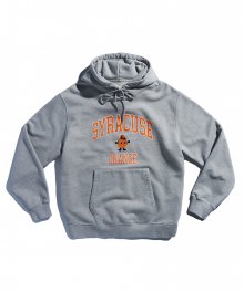 Syracuse Heavy Weight Hoodie Grey