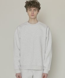 DWS ESSENTIAL SWEATSHIRT(LIGHT GREY)