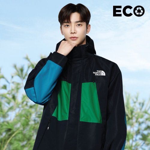 bear north face hoodie