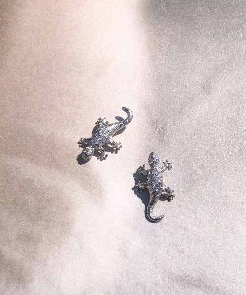 GECKO STEP
