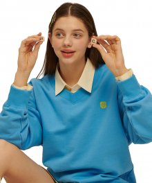 Rose V Neck Sweatshirt [AQUA BLUE]