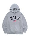 (22ALL) 2 TONE ARCH USA HOODIE GRAY