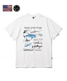 SHARKS OF THE WORLD [화이트]
