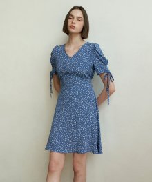 Picnic Dress_Blue