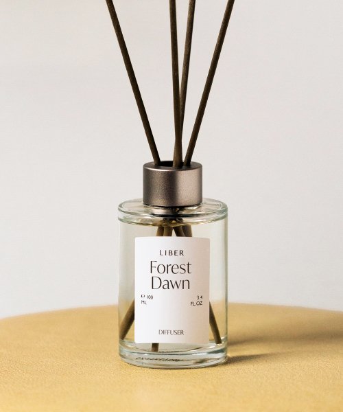 리베르() 디퓨저 100ml 3종 상품 이미지