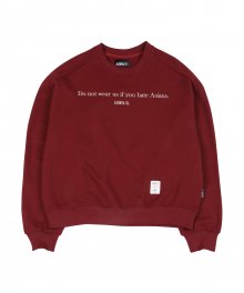 To the Haters Sweatshirt [Burgundy]