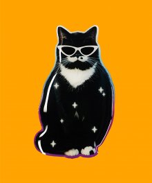 빅그립톡 - Cool Cat