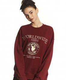 WORLDWIDE AMES SWEATSHIRTS_BG(21FWTP04)