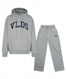 VLDS Logo set-up Grey