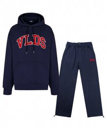 VLDS Logo set-up Navy