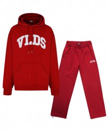 VLDS Logo set-up Red