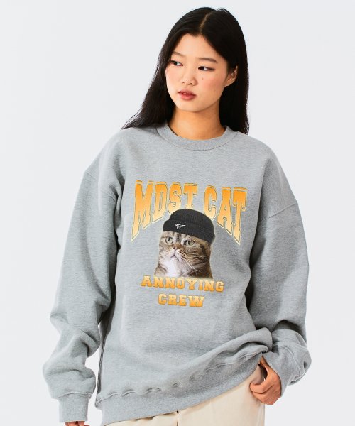 모데스티(MODESTY) MDST CAT MTM M/G - 74,000 | 무신사 스토어