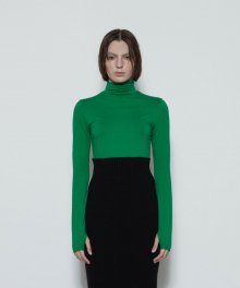 Embroidery Mock Neck Top (Green)
